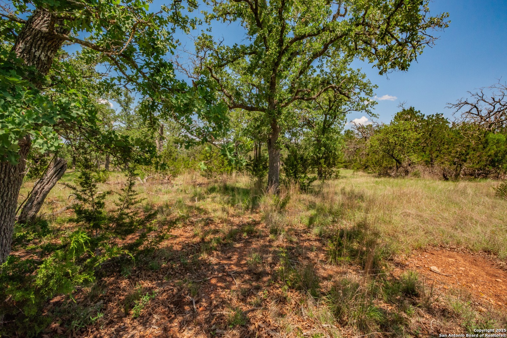 main property photo 19