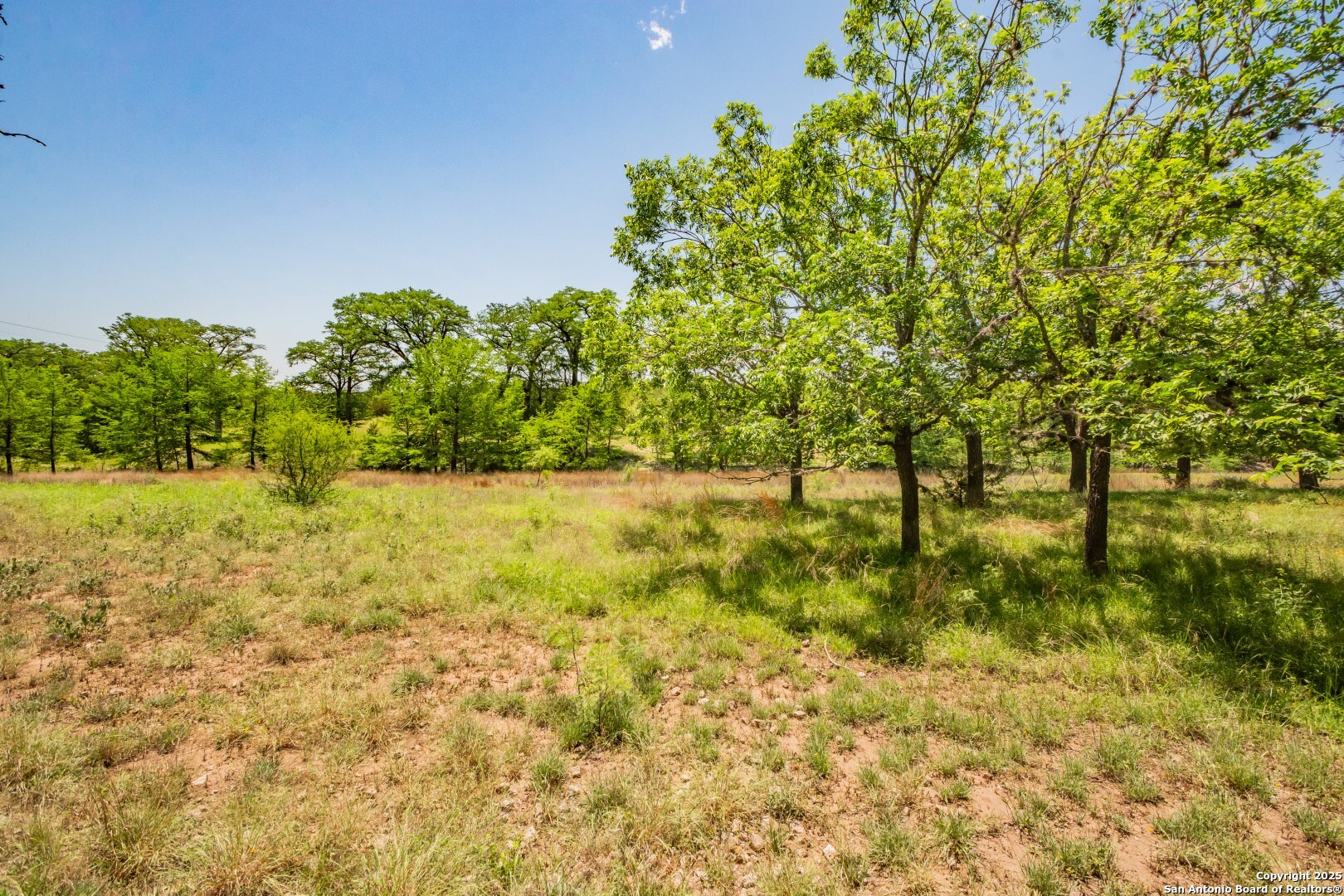 main property photo 27