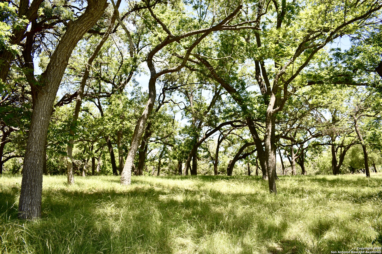 main property photo 20