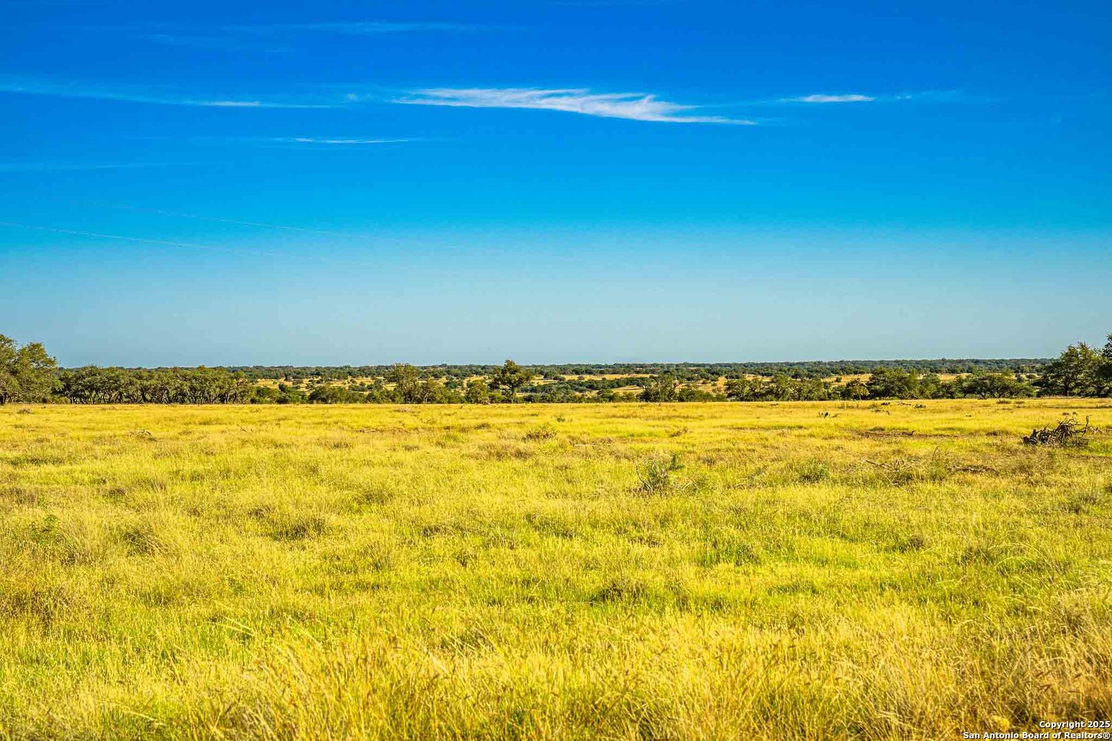 main property photo 54