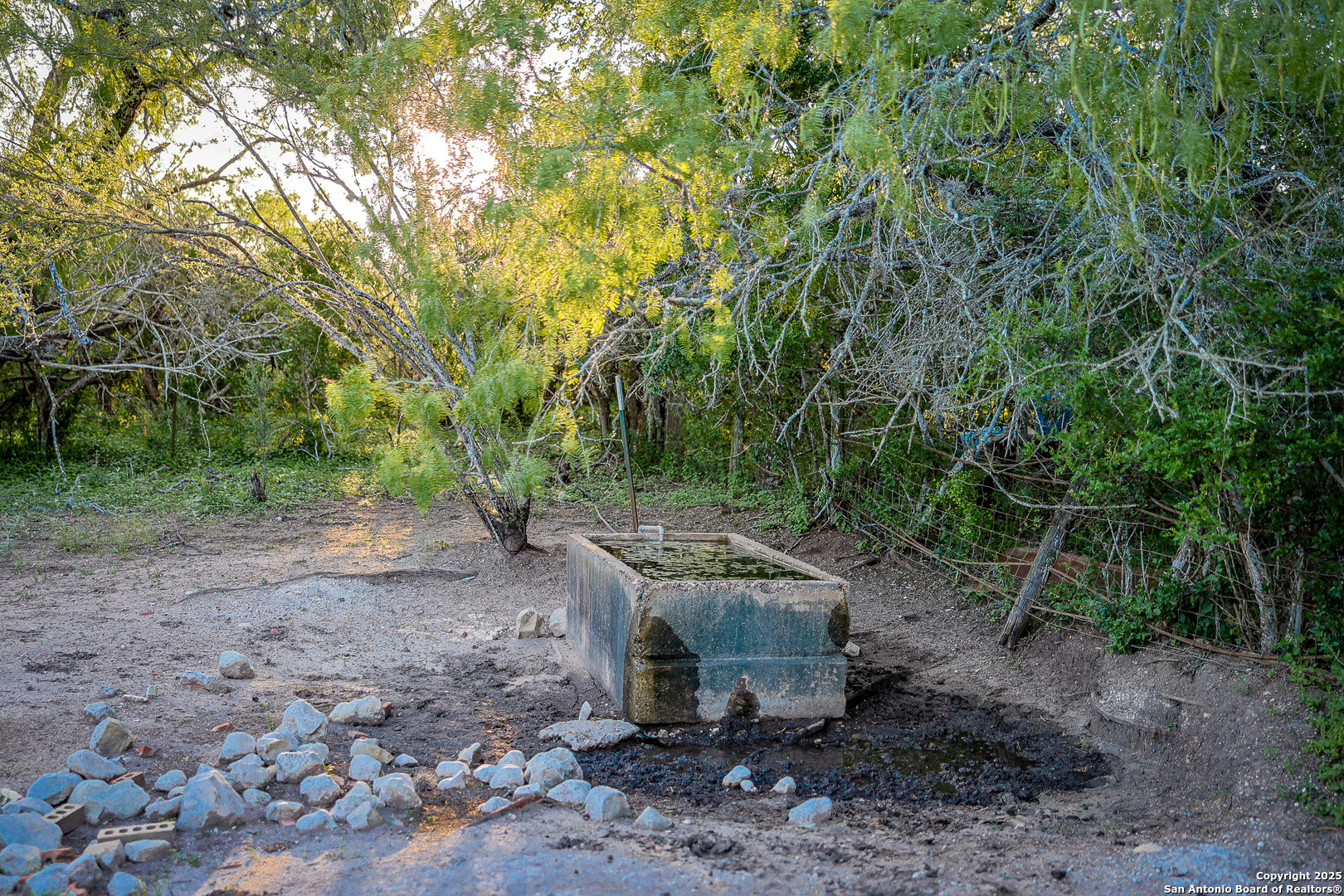main property photo 19