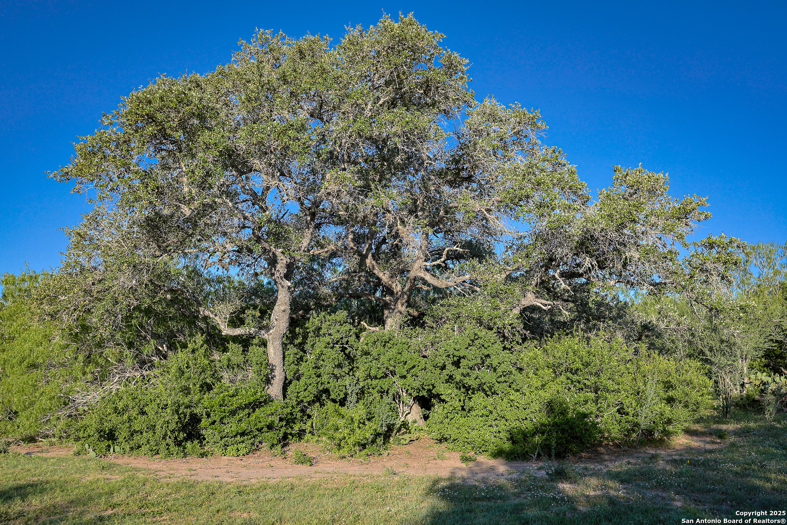 main property photo 26