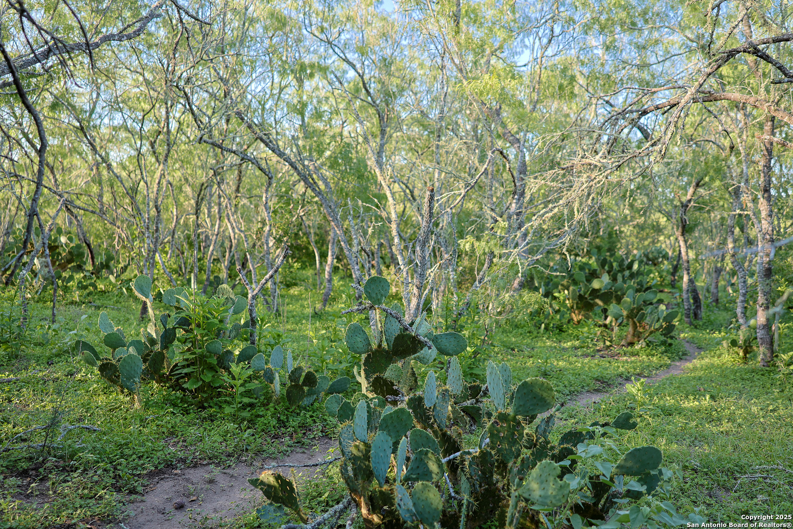main property photo 29