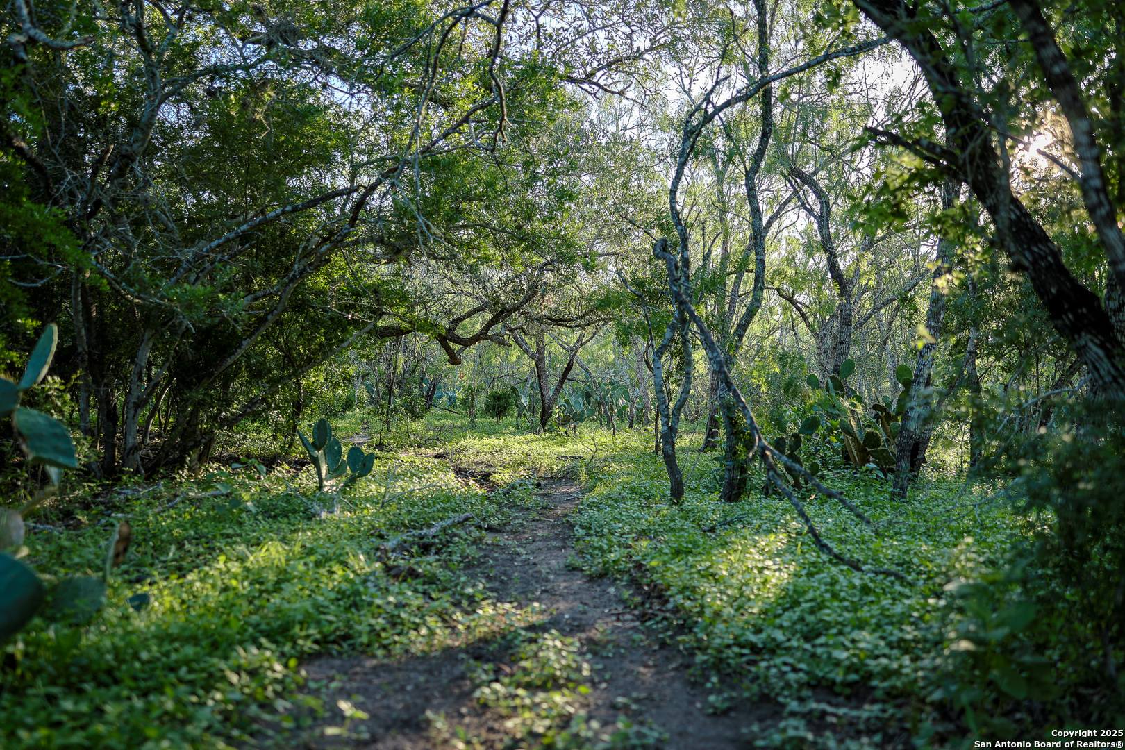 main property photo 30