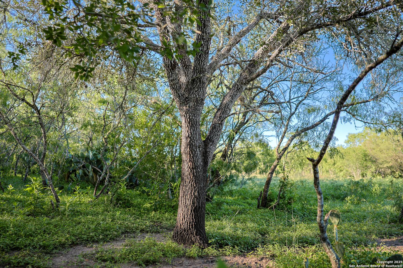 main property photo 37