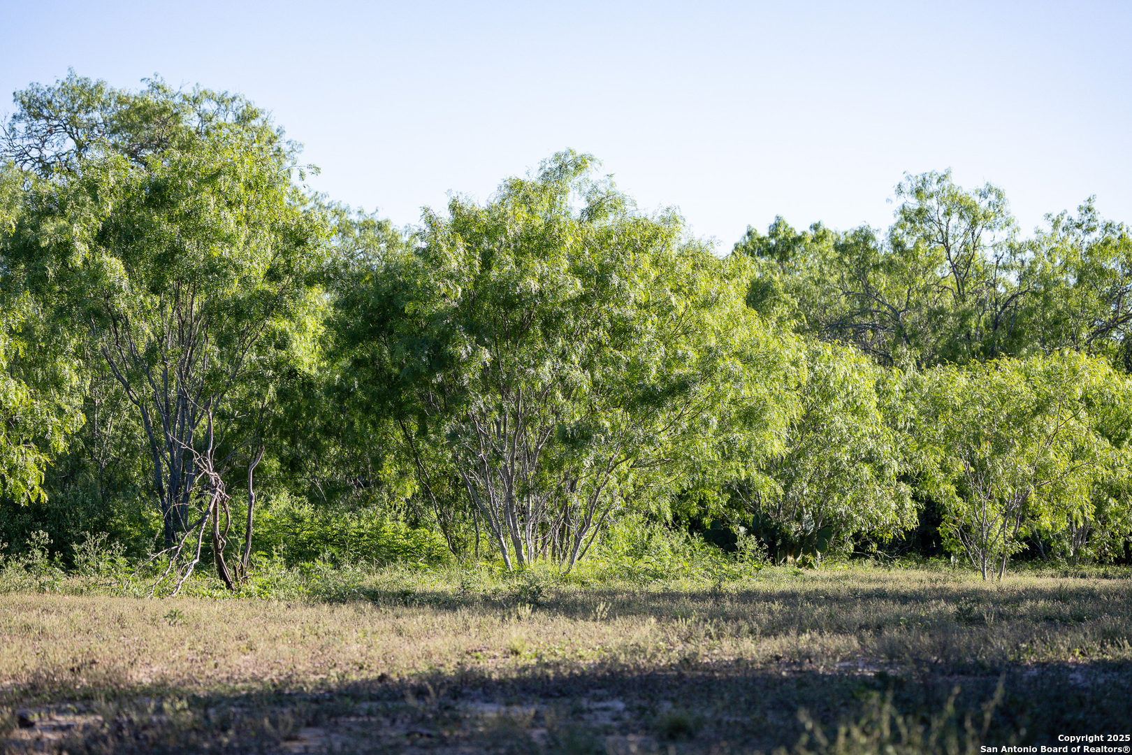 main property photo 38