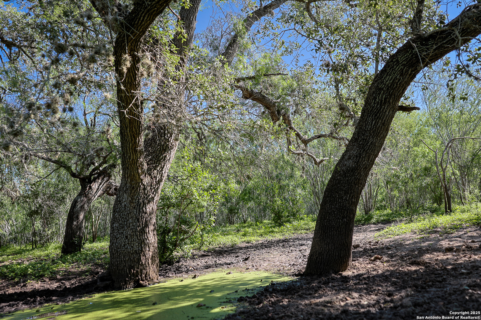 main property photo 41