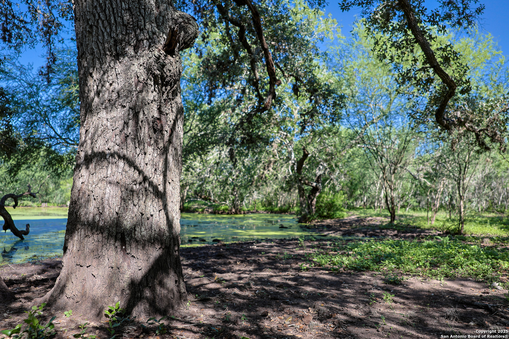 main property photo 43