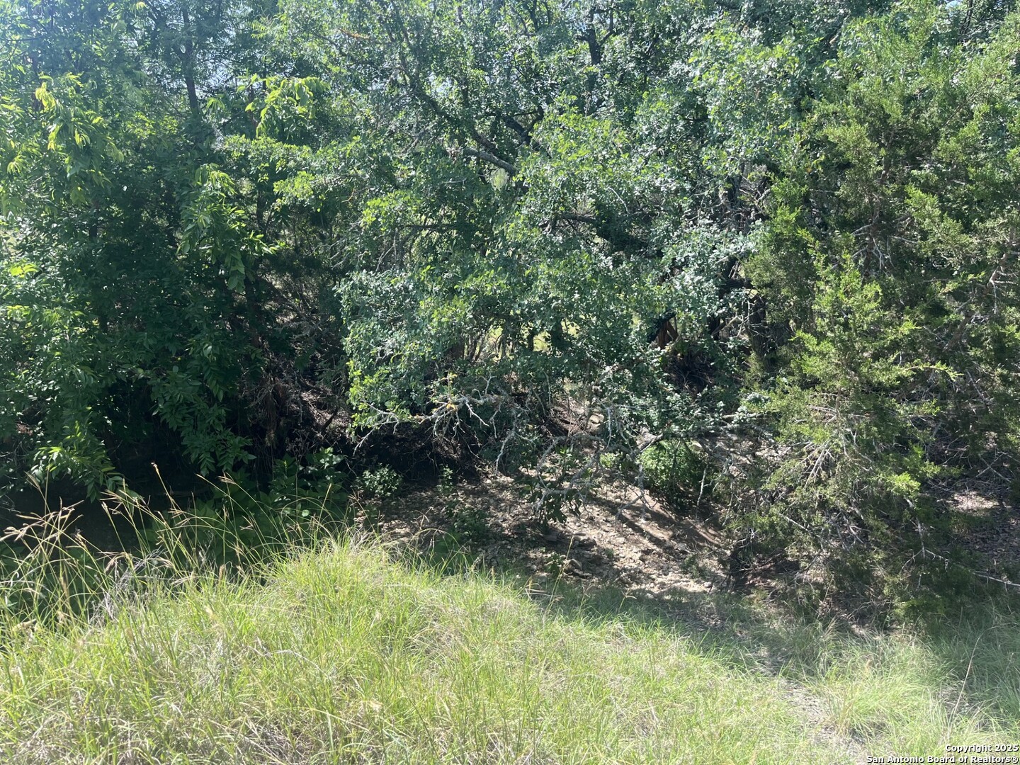 property viewer photo 2