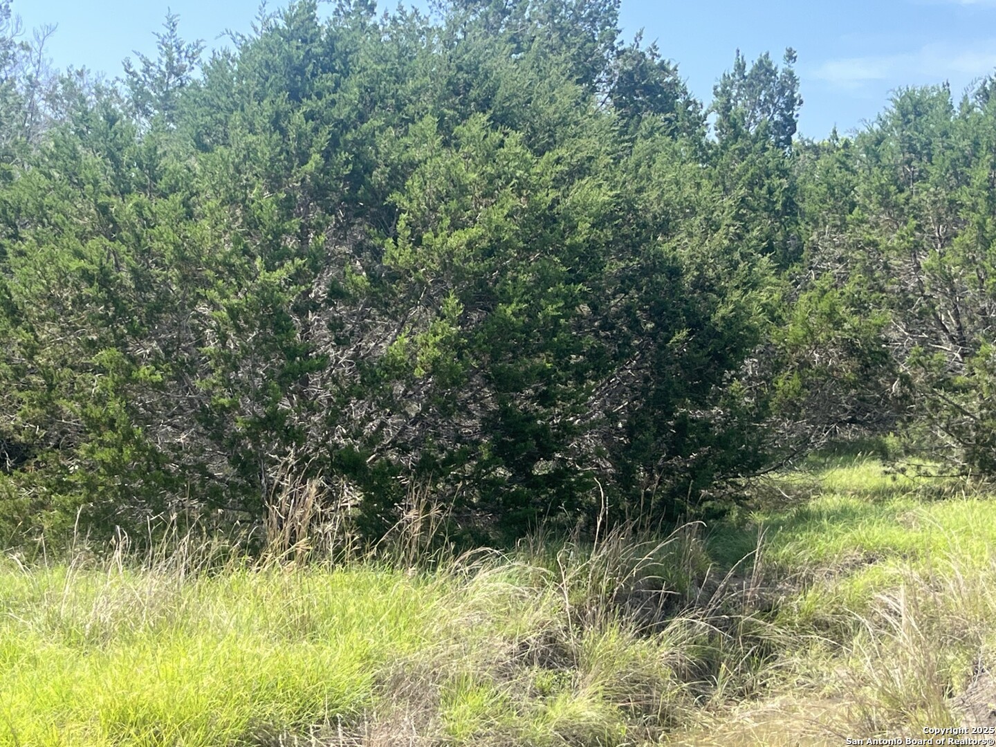 property viewer photo 3