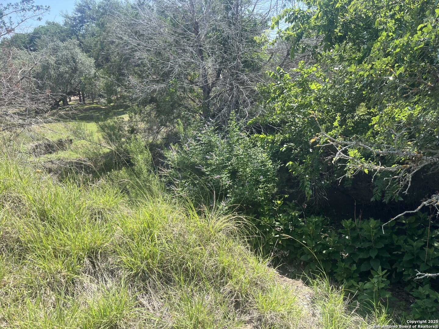 property viewer photo 4