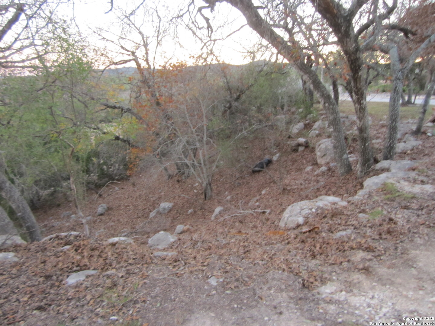 main property photo 57