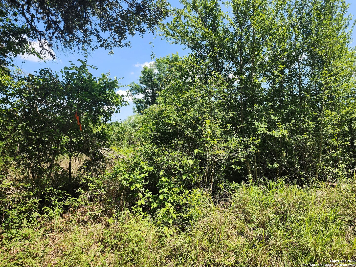 main property photo 6