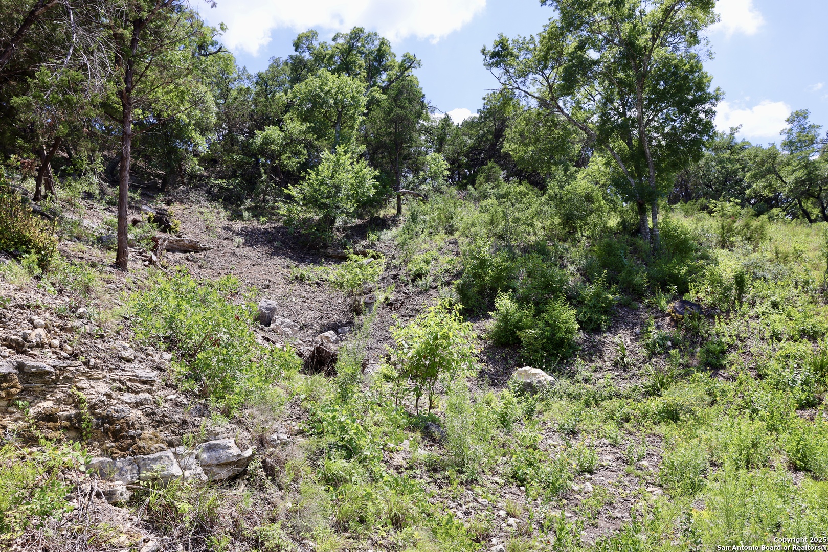 main property photo 13