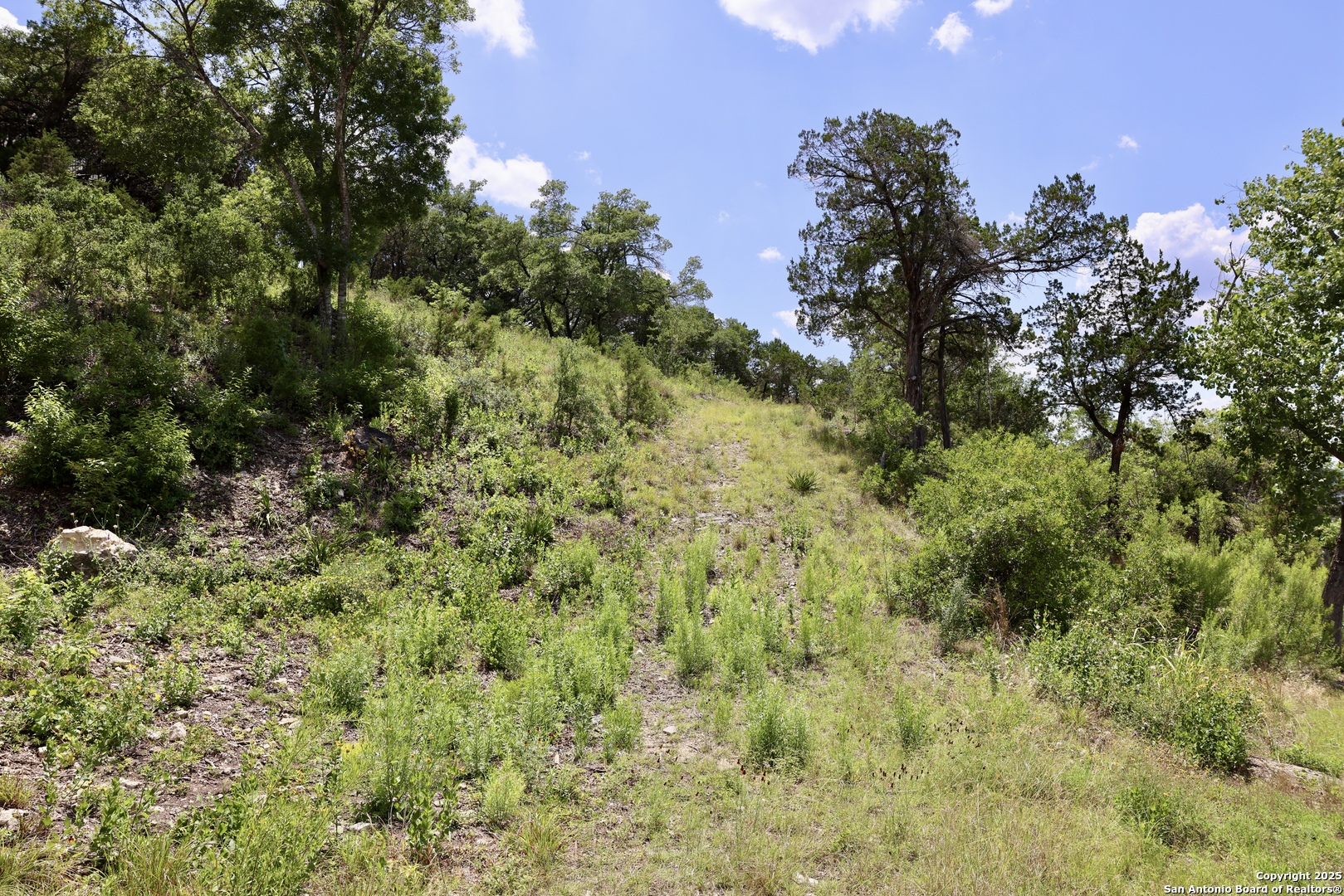 main property photo 9