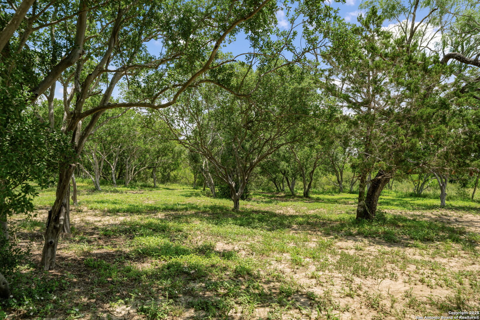 main property photo 9