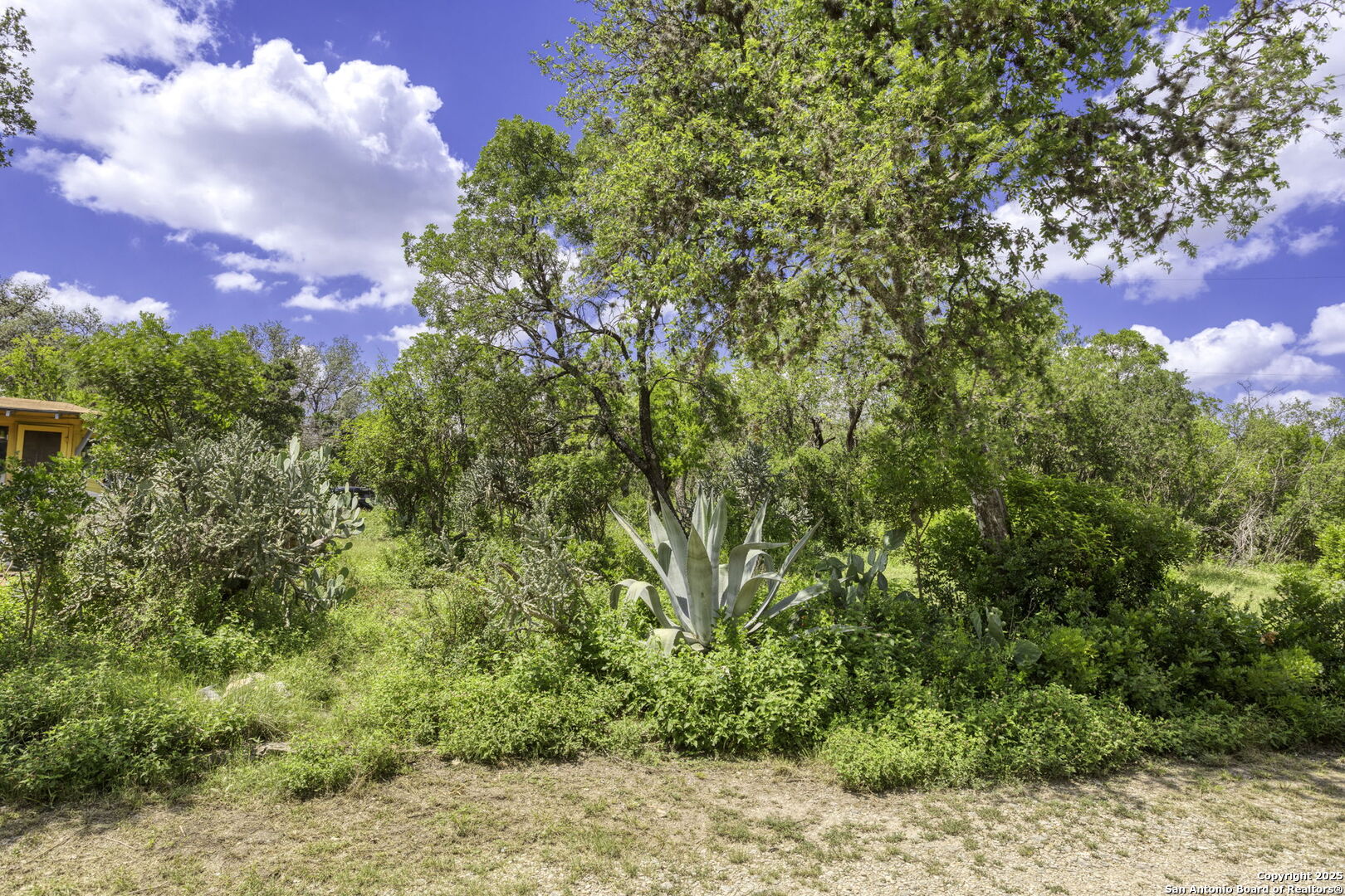 main property photo 38