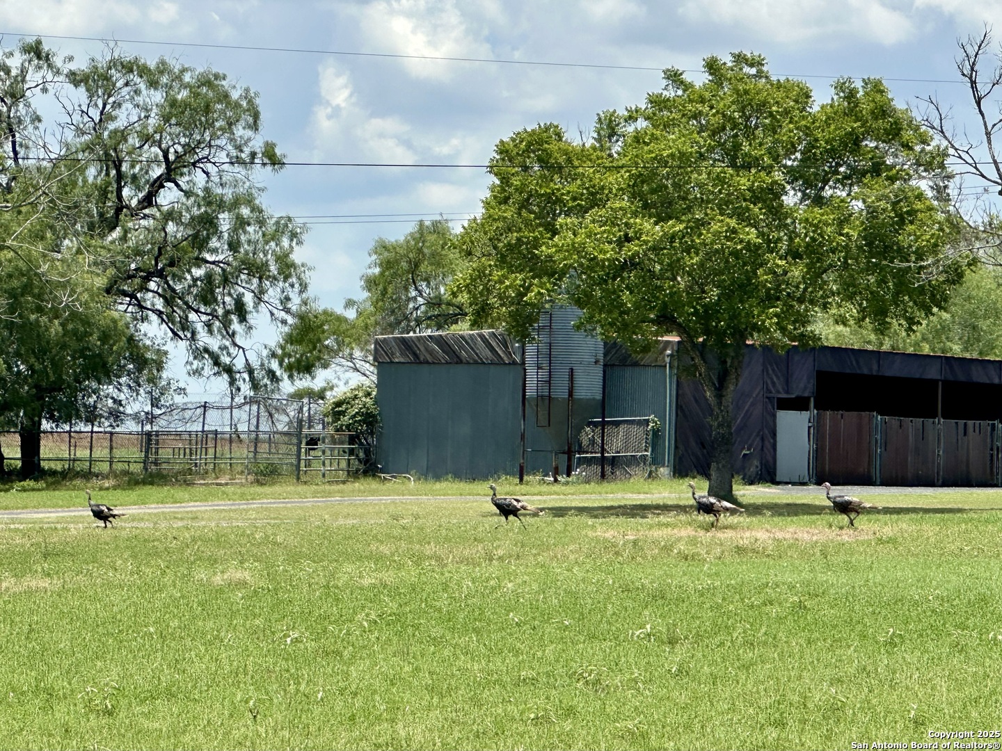 main property photo 36