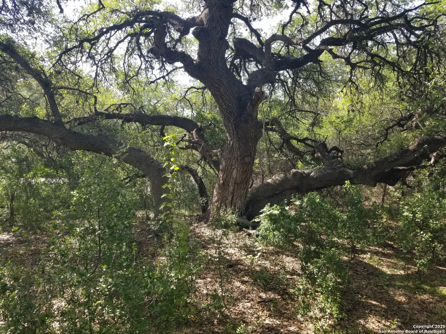 main property photo 38