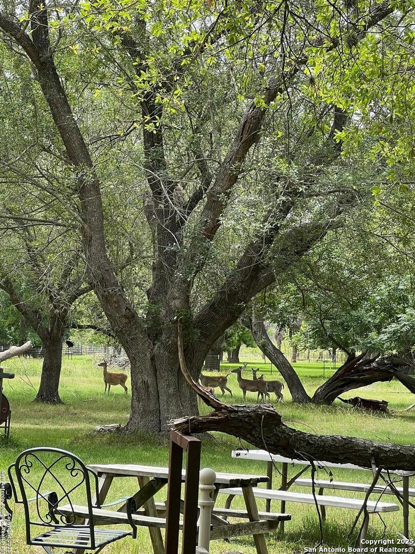 main property photo 16