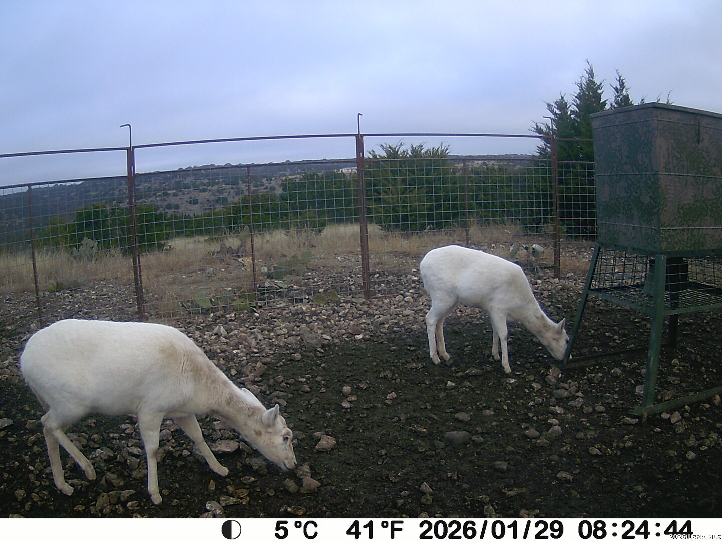 main property photo 42
