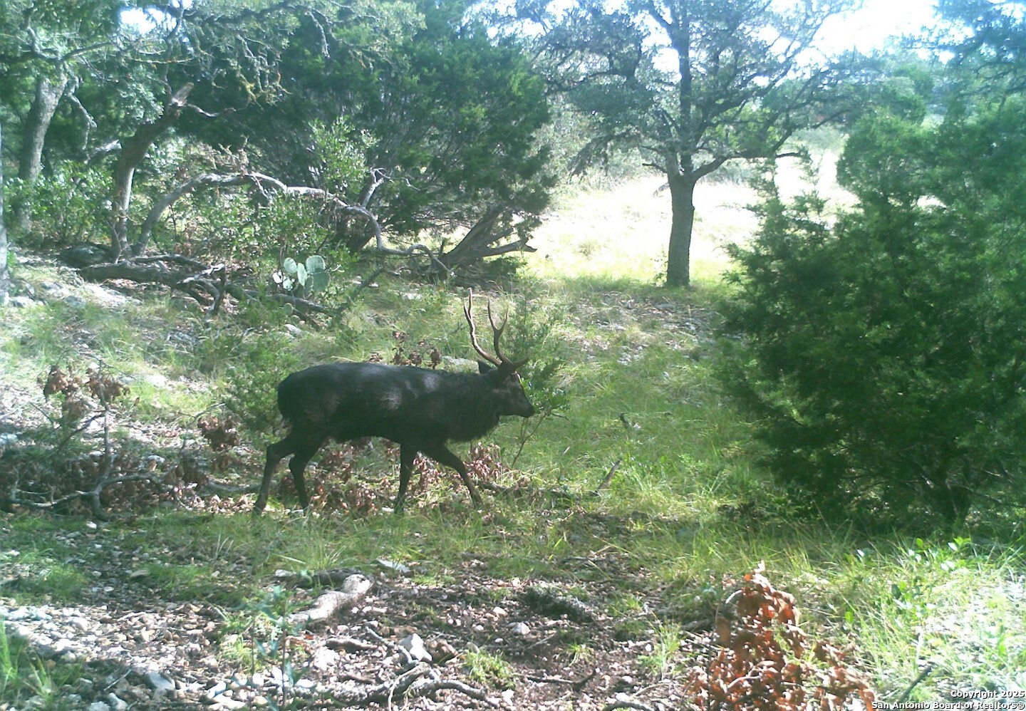 main property photo 45