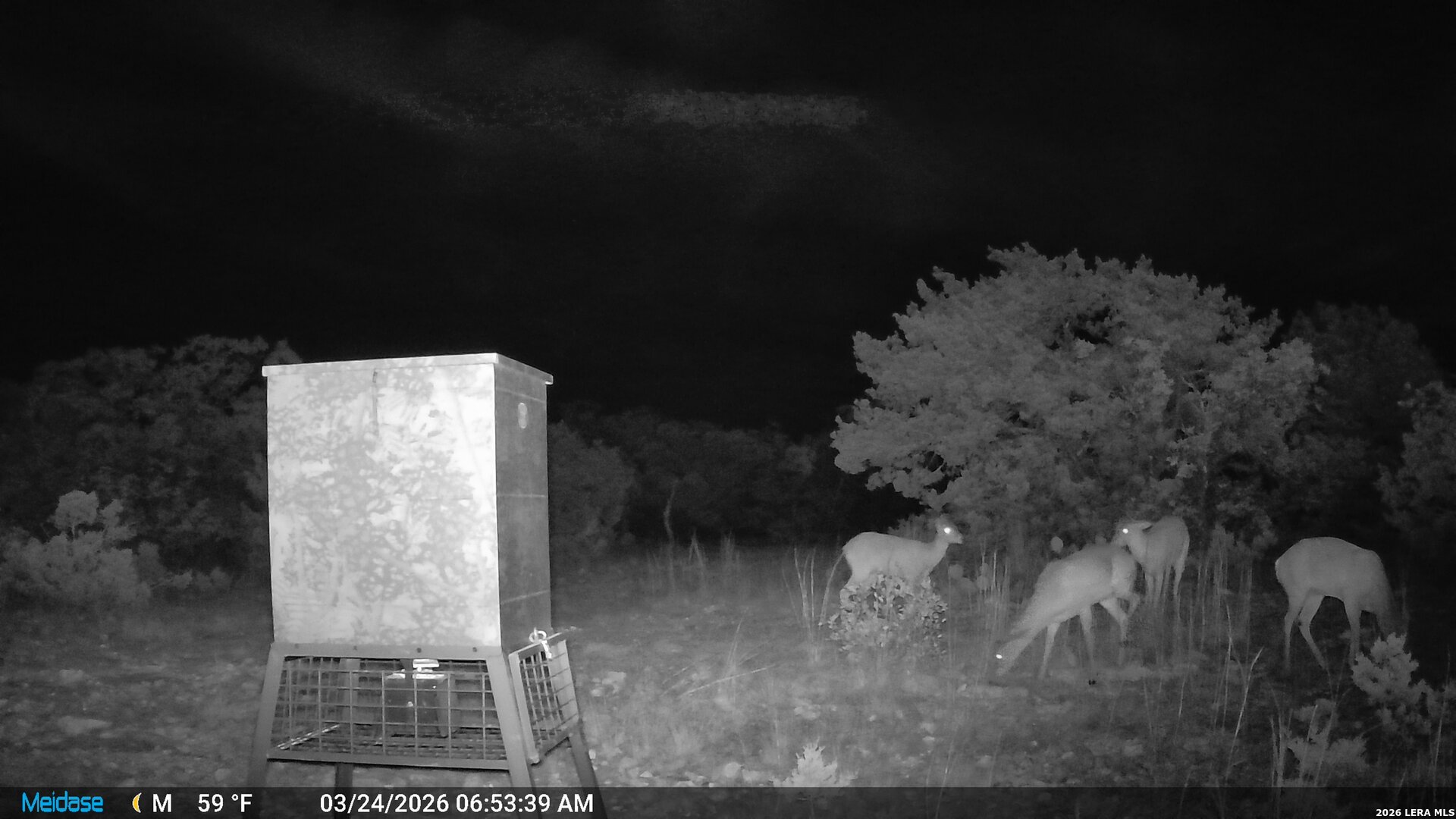 main property photo 49
