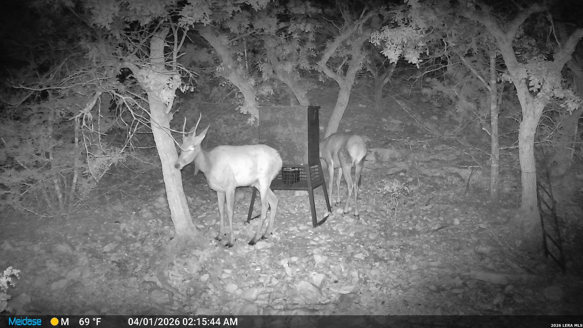 main property photo 52