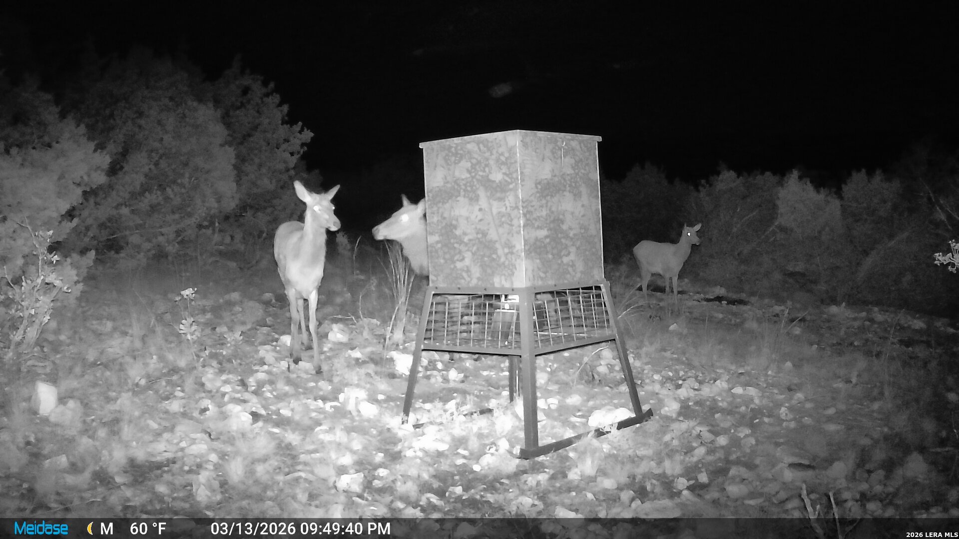 main property photo 53