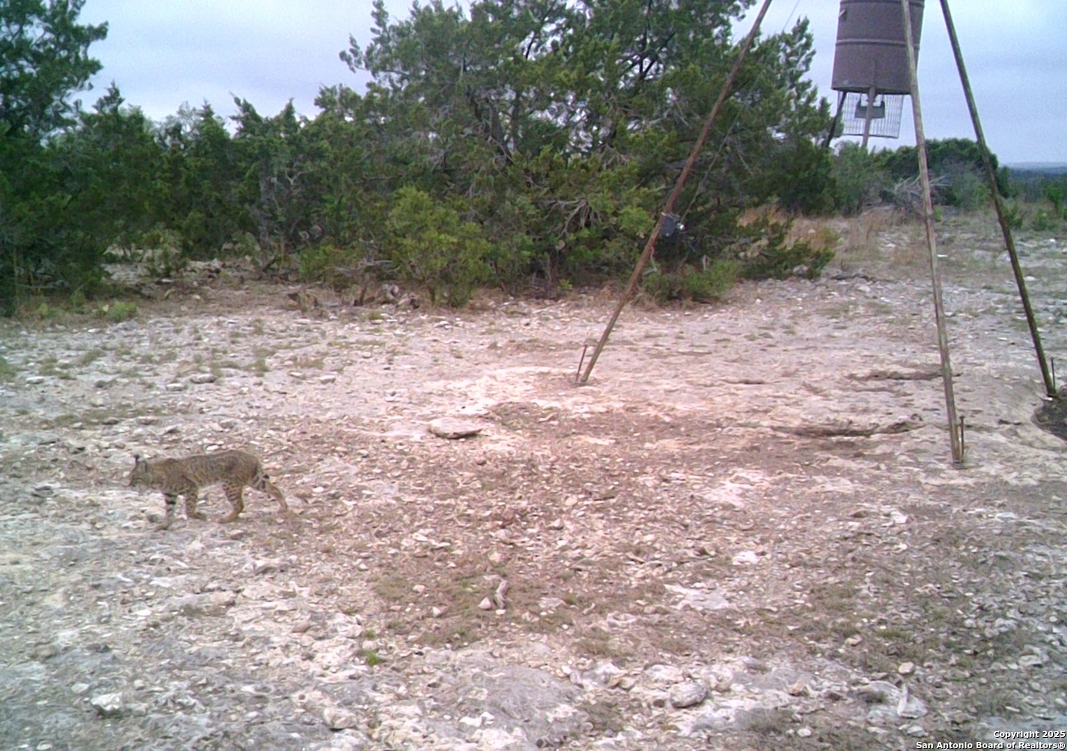 main property photo 54