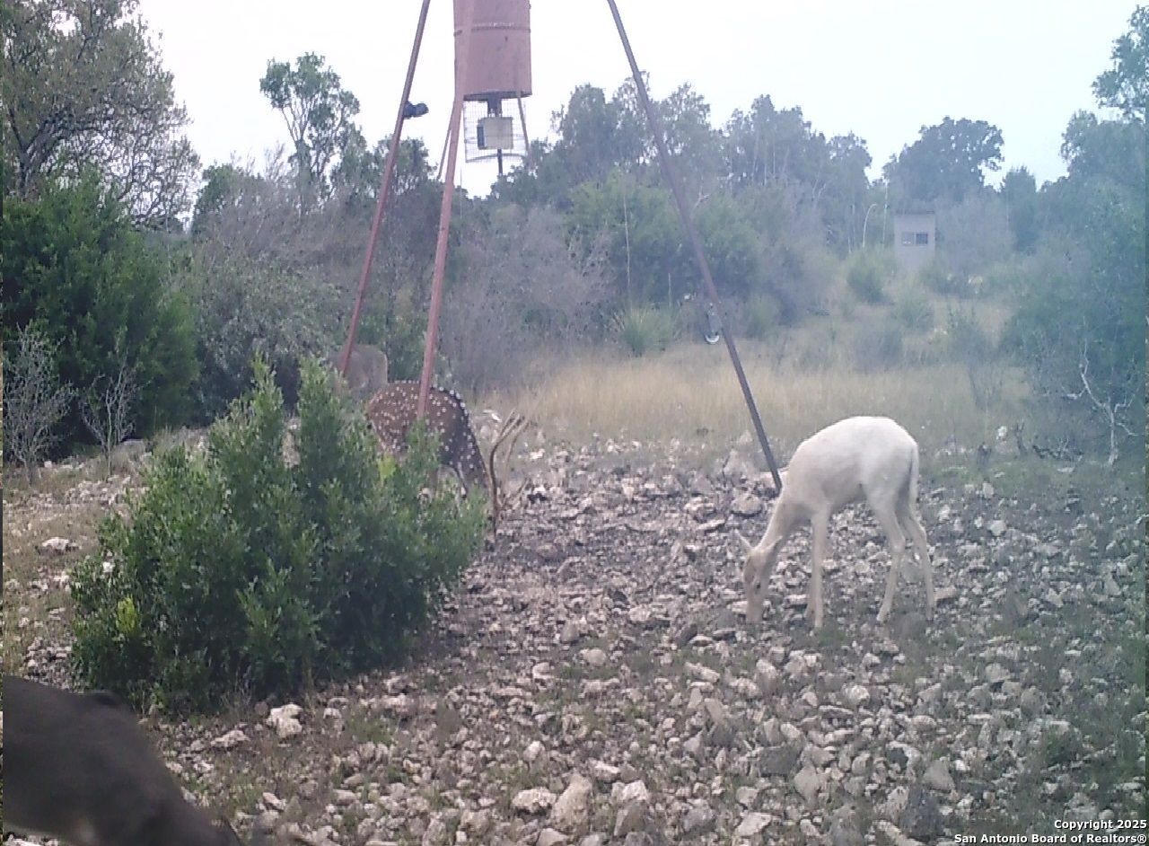 main property photo 57