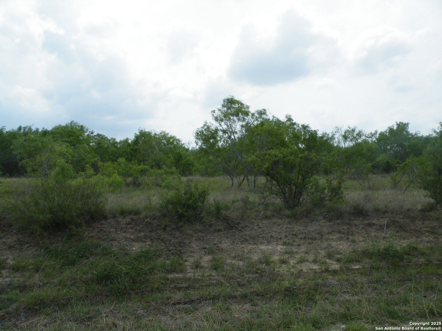 property viewer photo 2