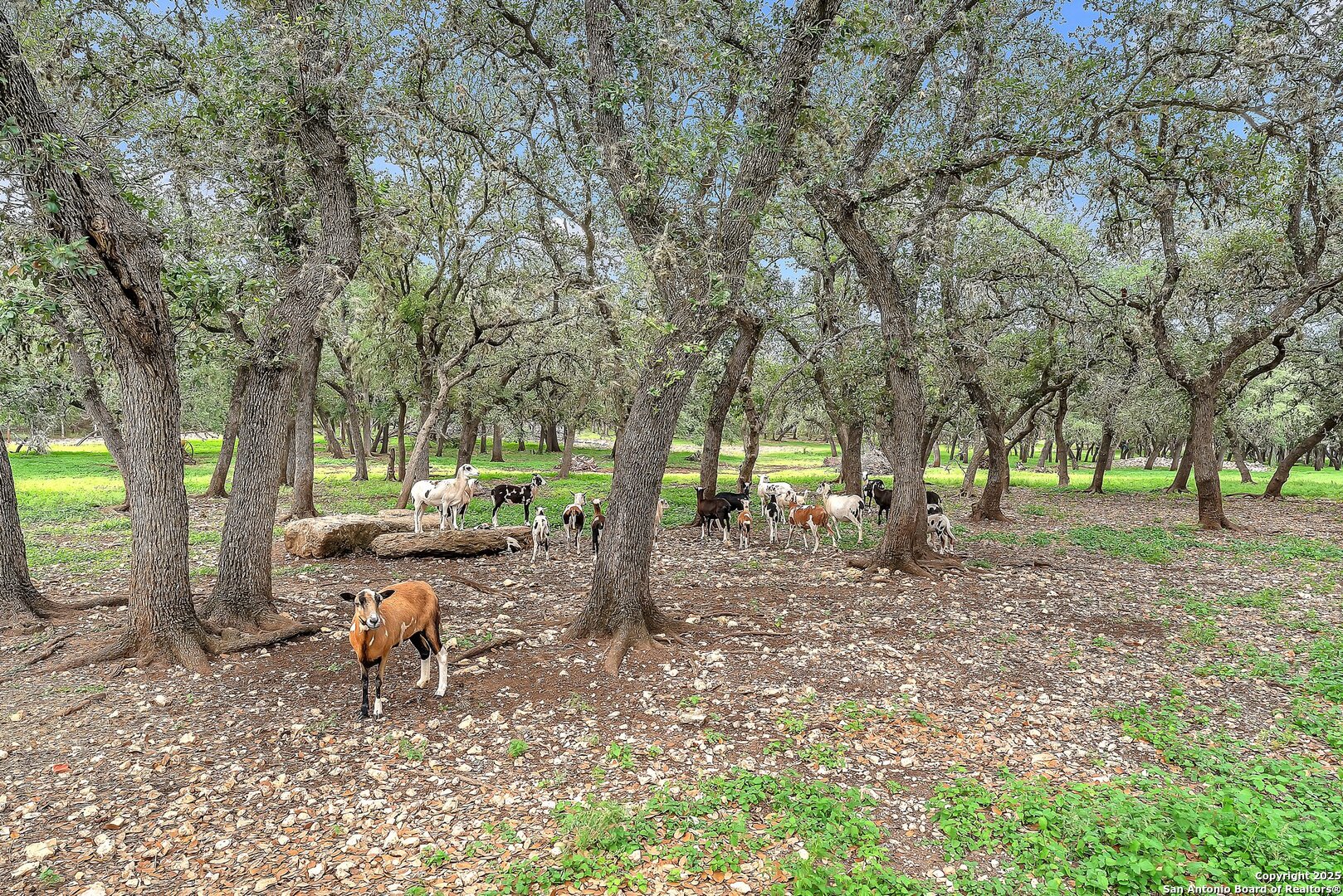 main property photo 76