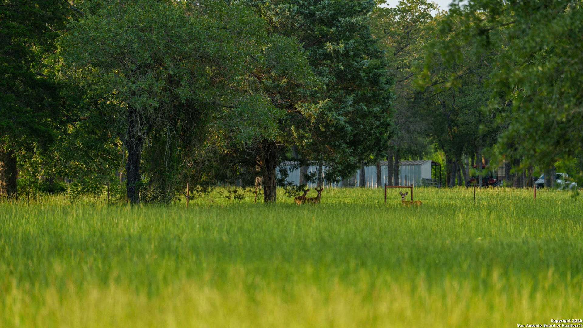 main property photo 39