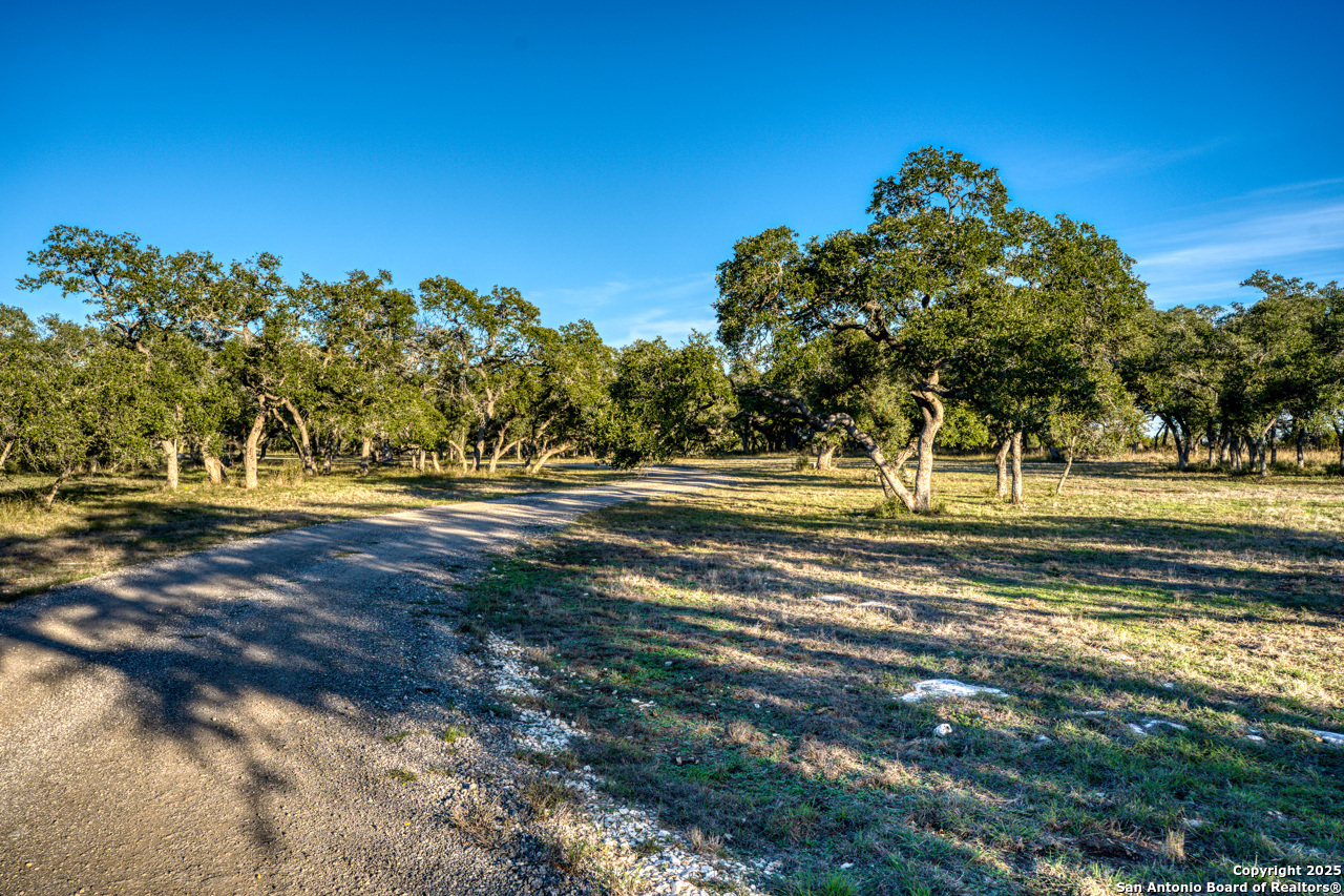 main property photo 25