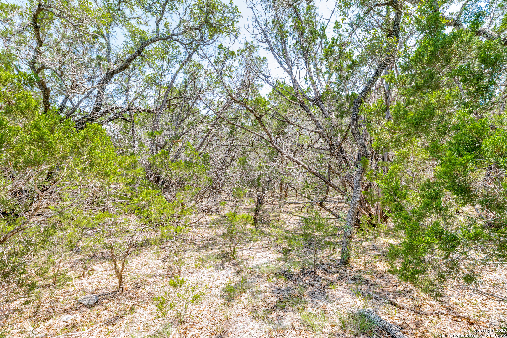 main property photo 10
