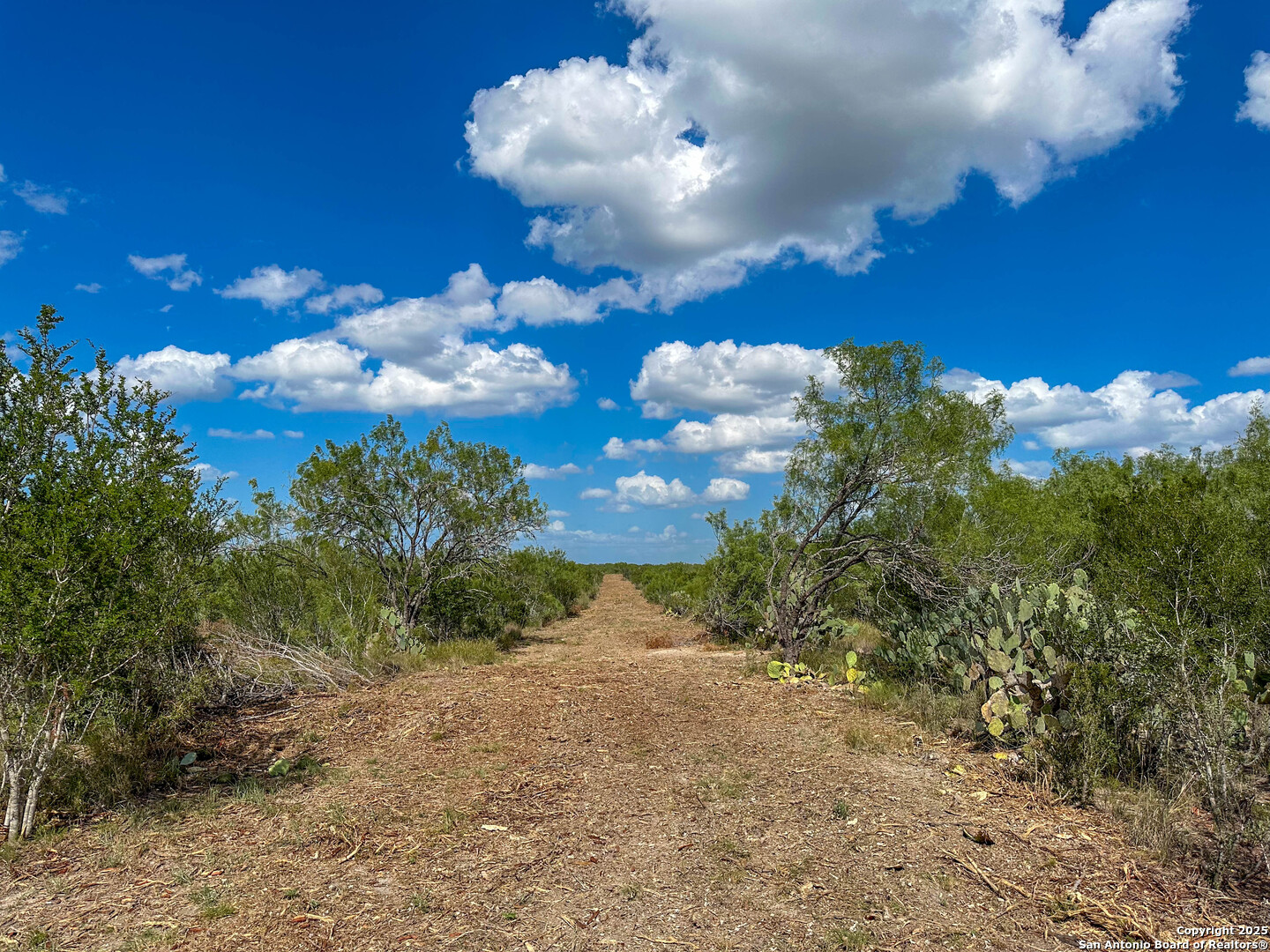 property viewer photo 6