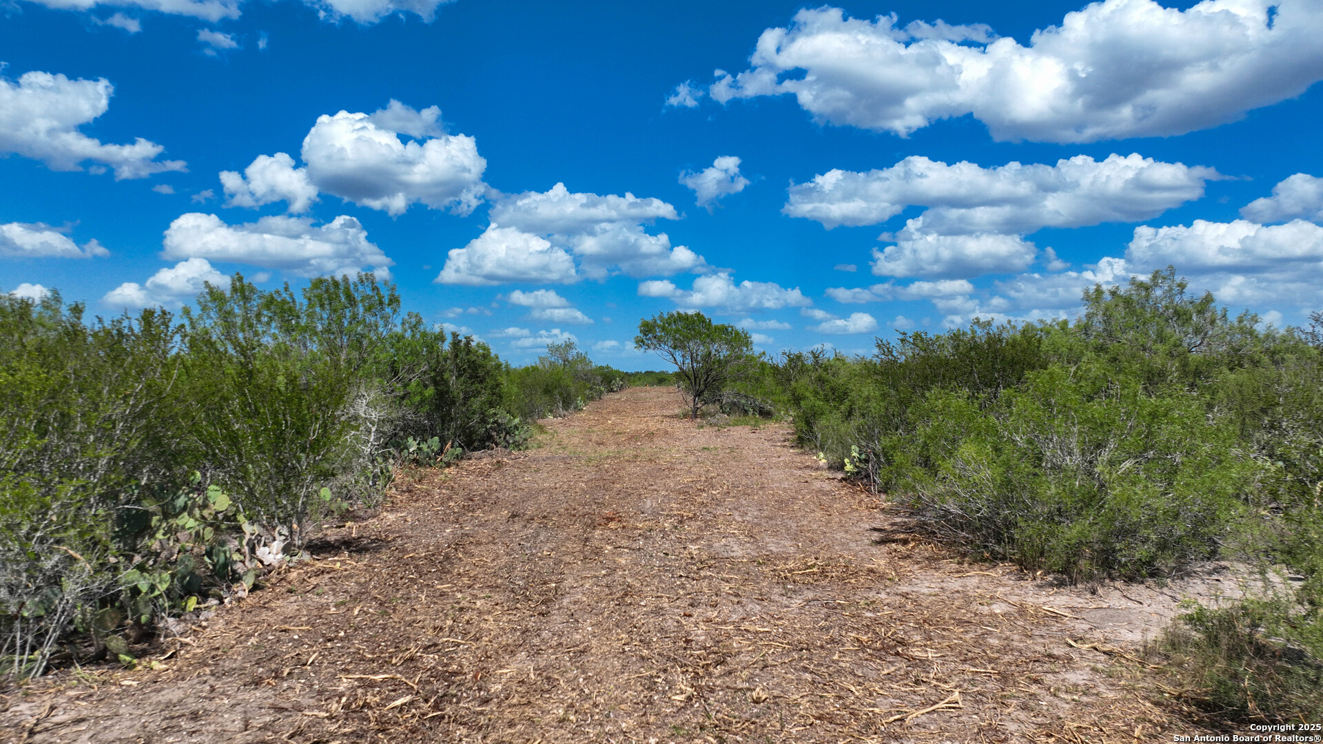 property viewer photo 7