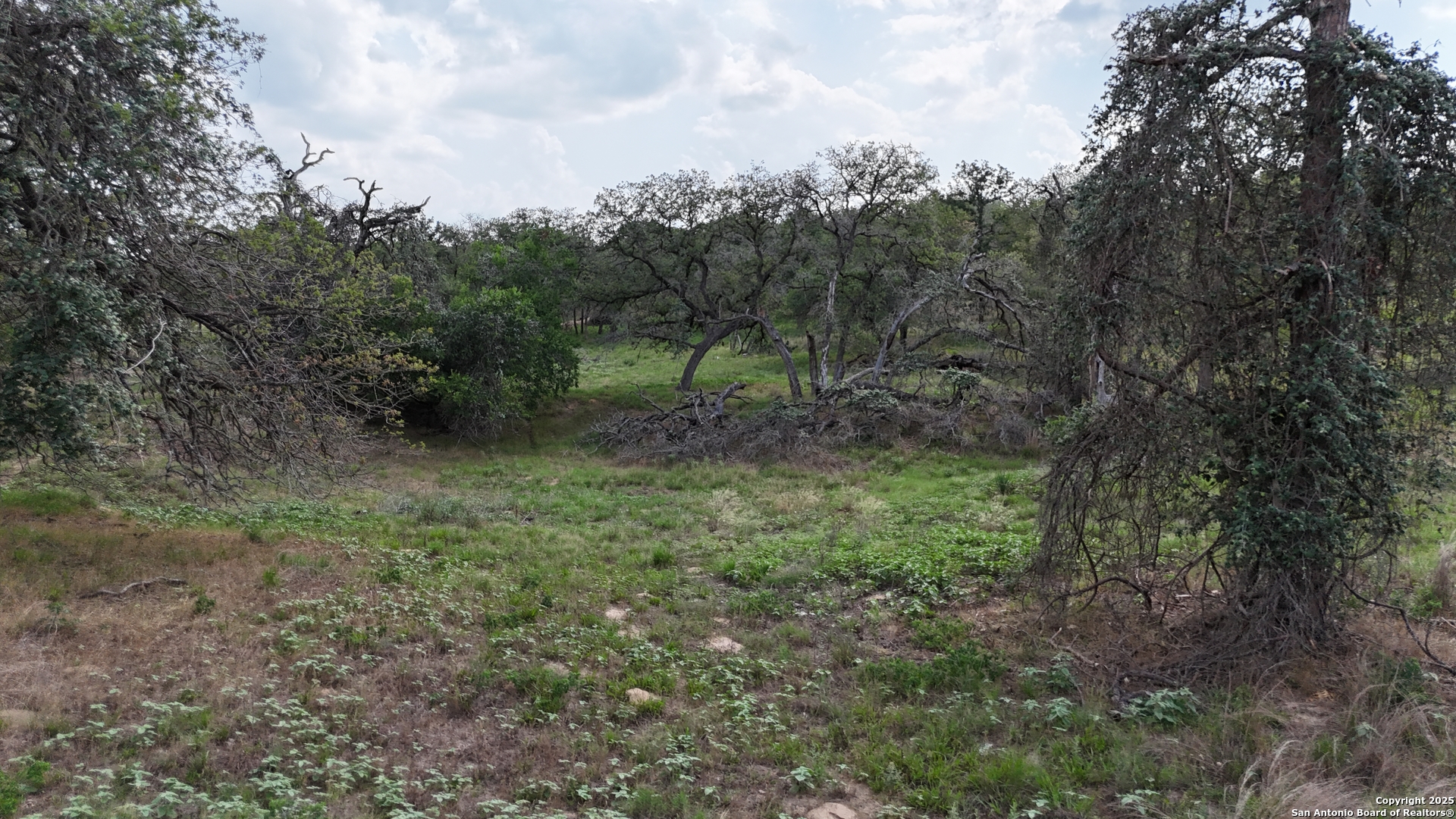 main property photo 11