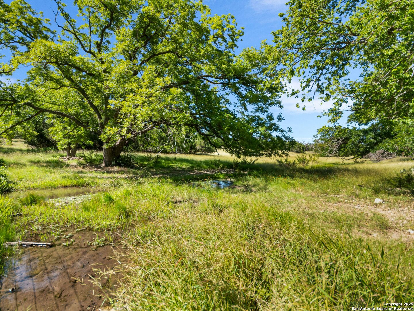 main property photo 66