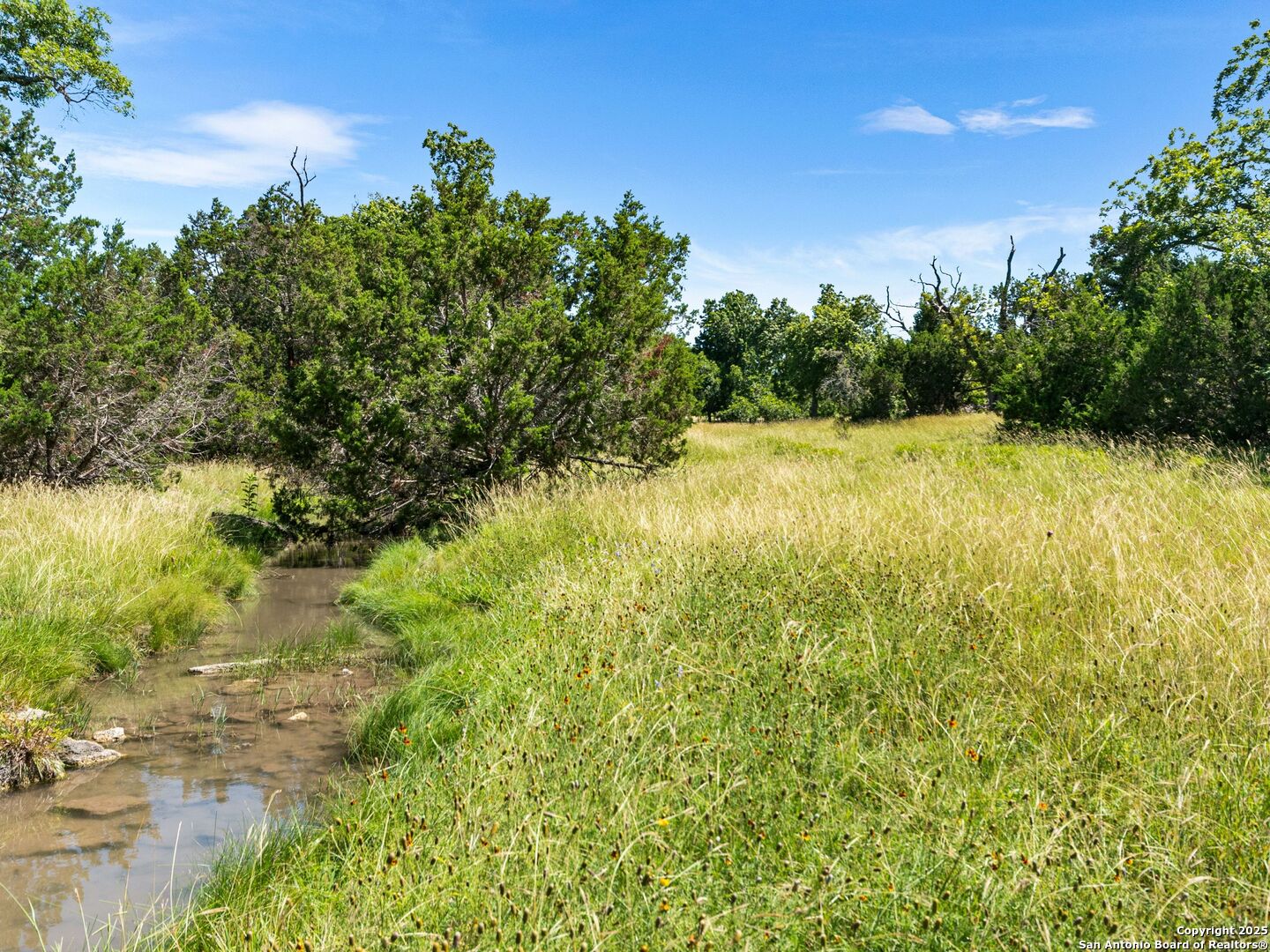 main property photo 67