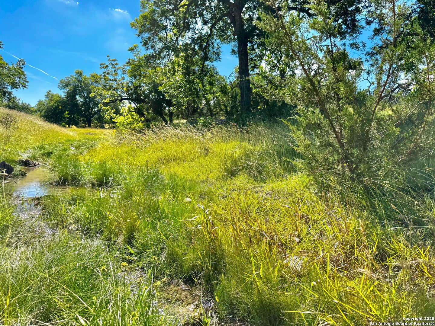 main property photo 68