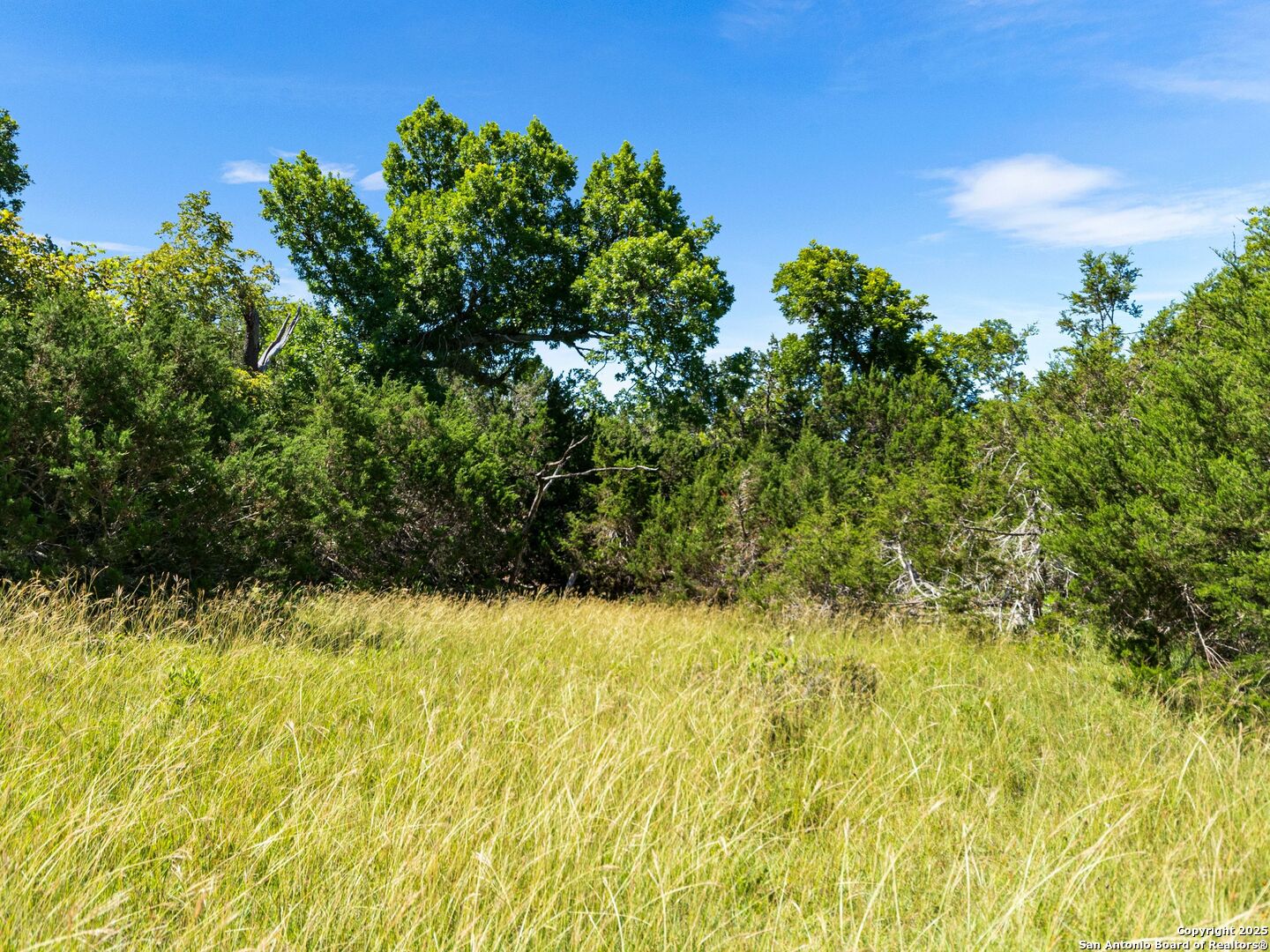 main property photo 69