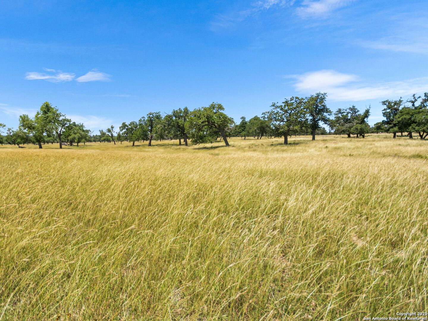 main property photo 70