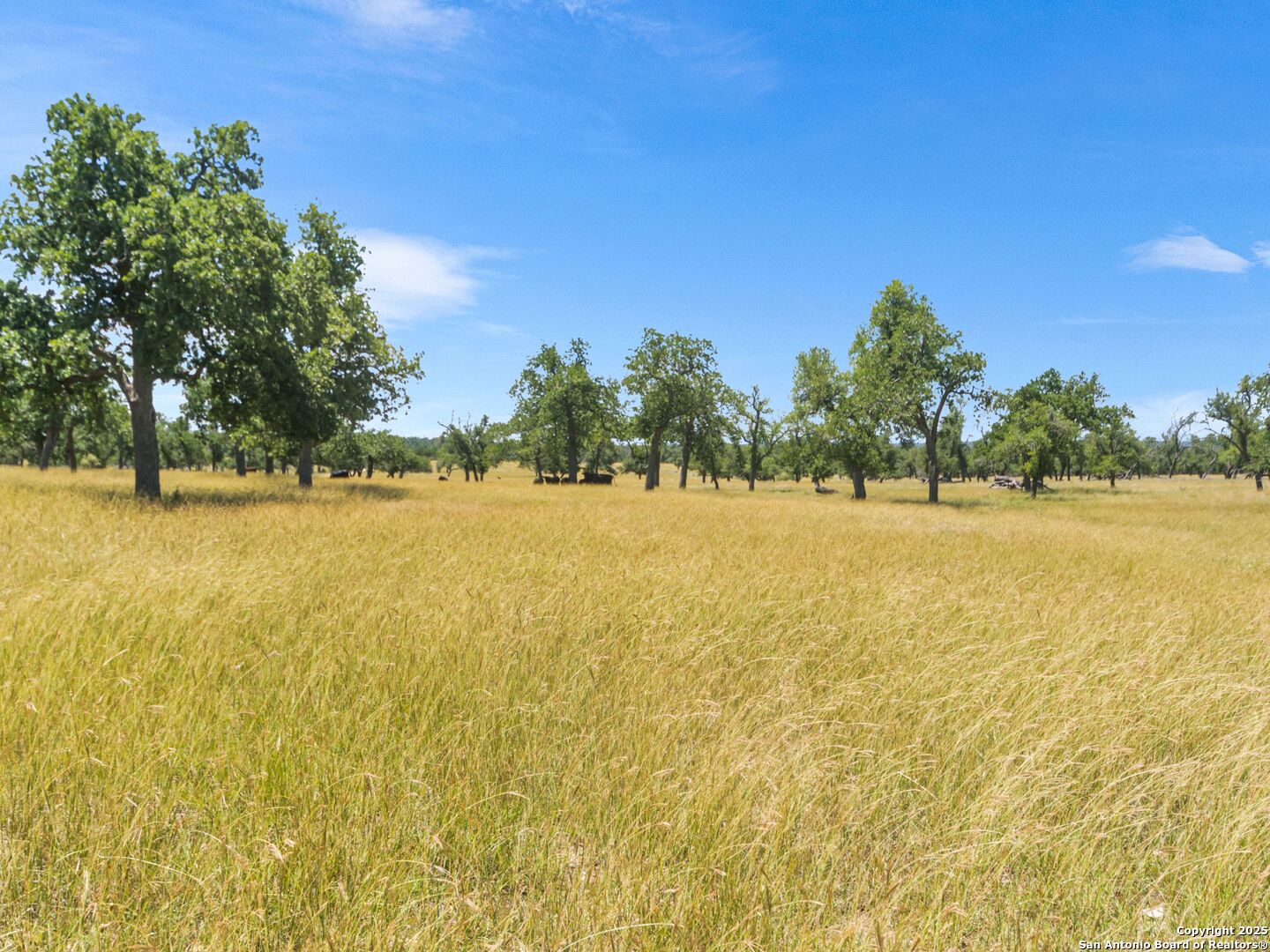 main property photo 71
