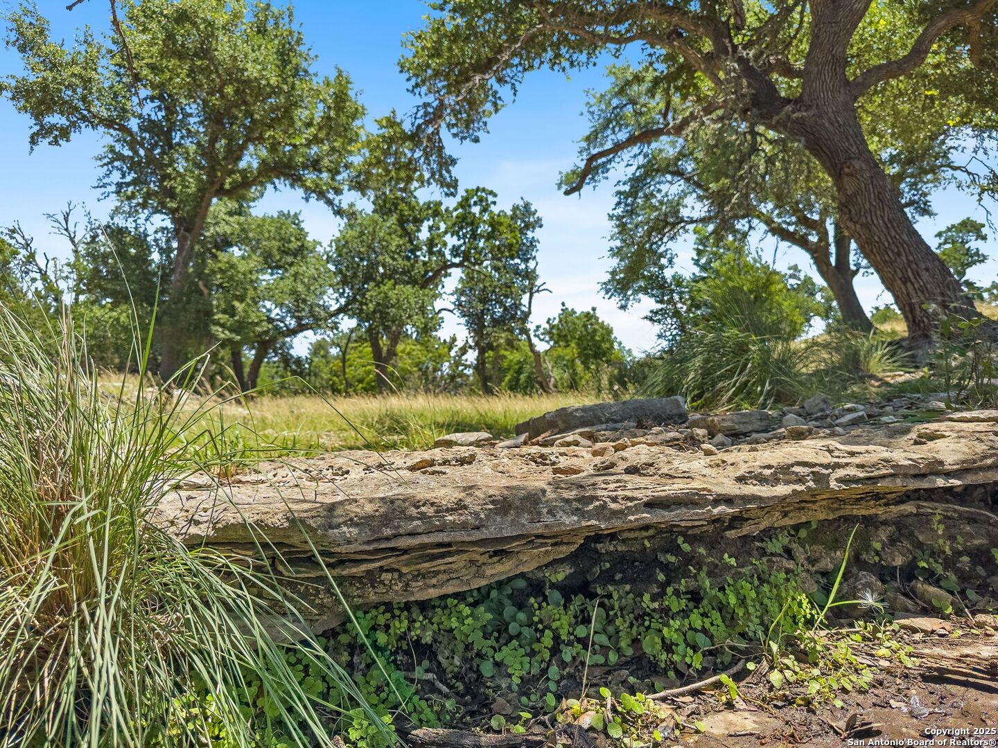 main property photo 73
