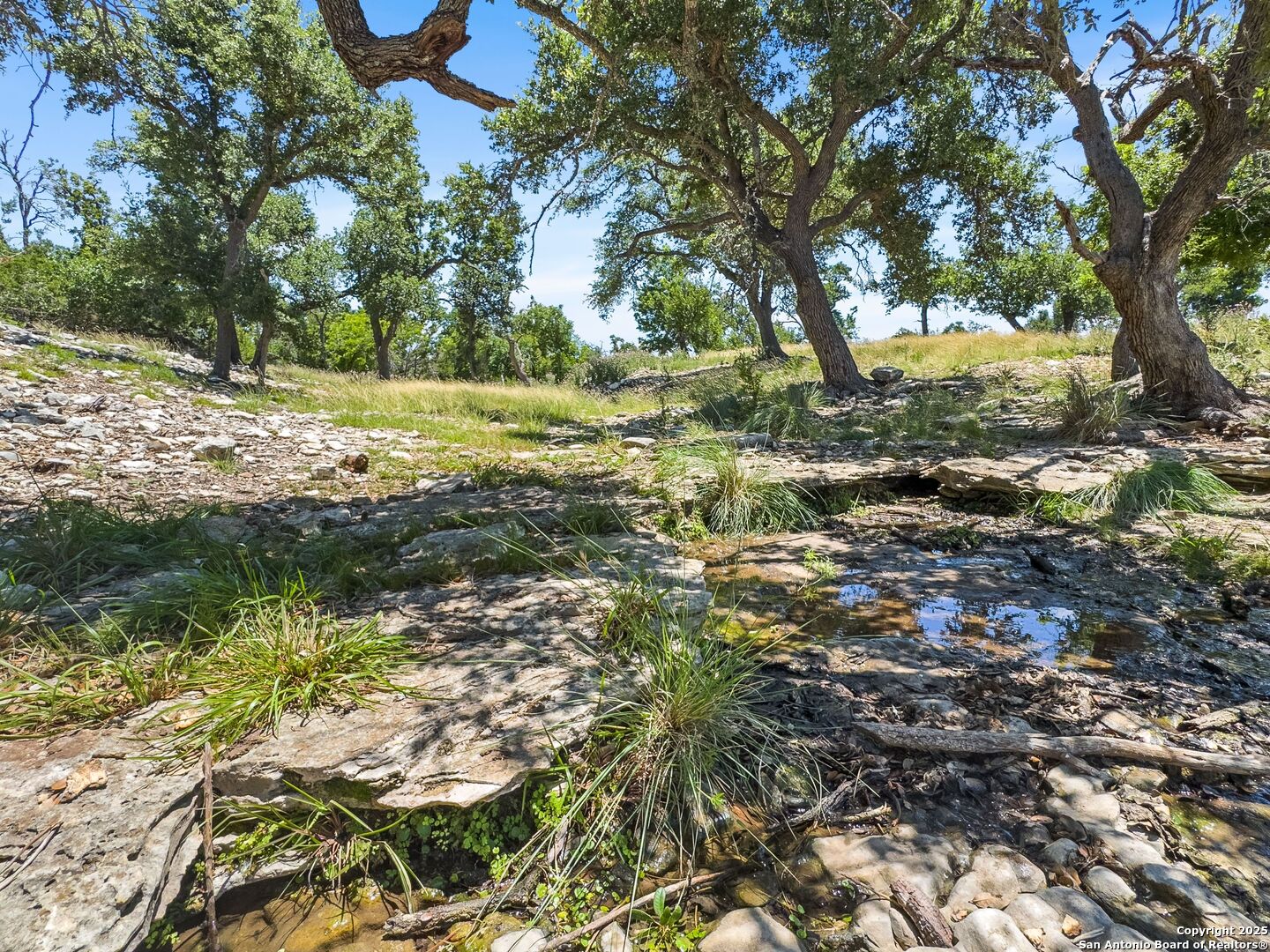 main property photo 74