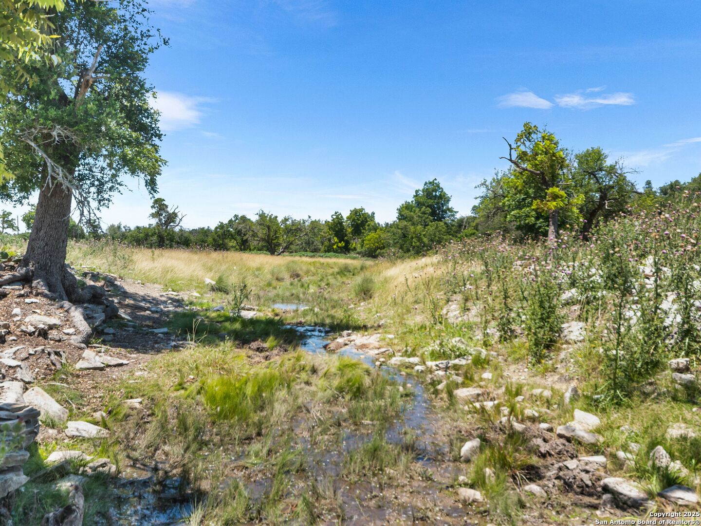 main property photo 75