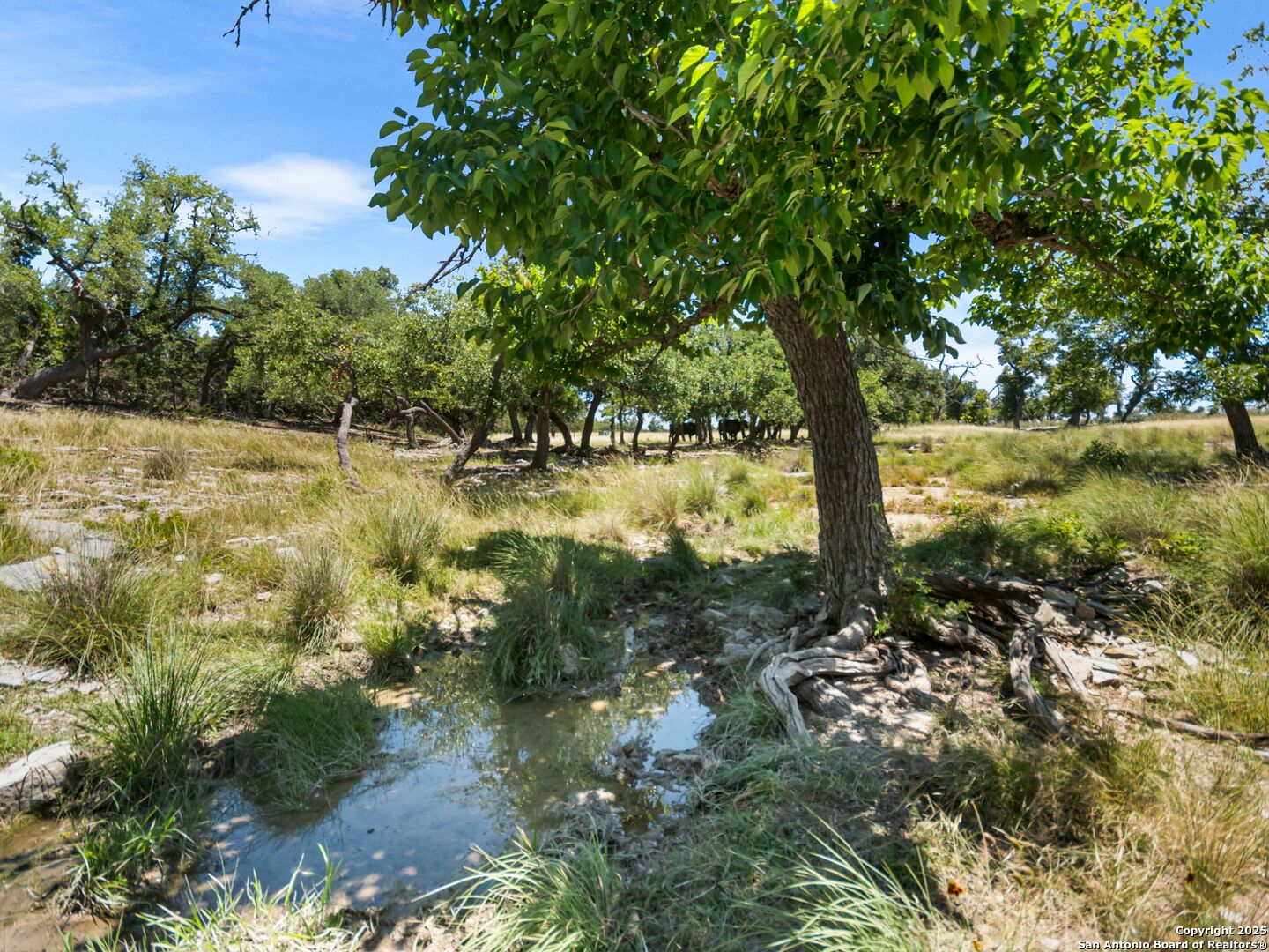 main property photo 76