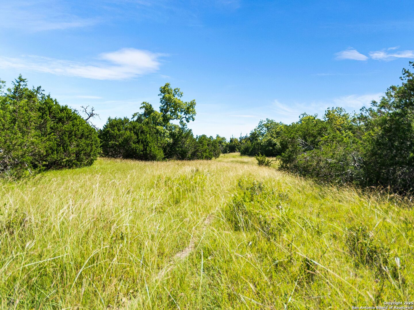 main property photo 78